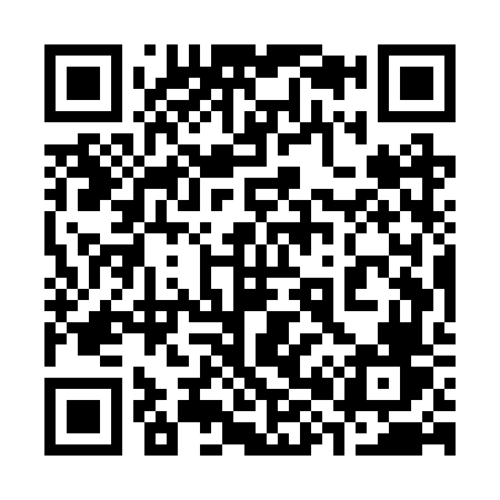QR code for 385RVV
