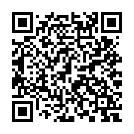 QR code for 386FRU