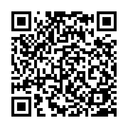 QR code for 386IEE