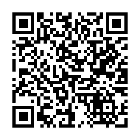 QR code for 386IIW