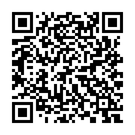 QR code for 386IVI
