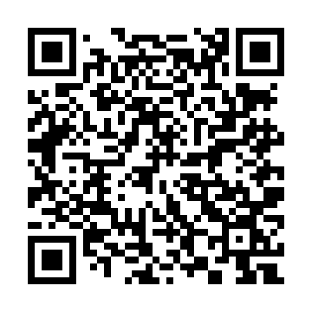 QR code for 386LNN