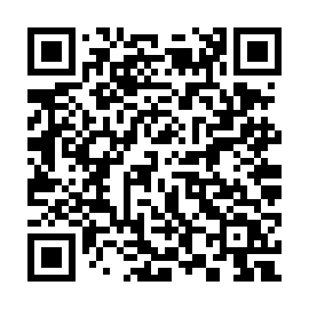 QR code for 386TFT