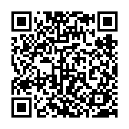 QR code for 386VGO