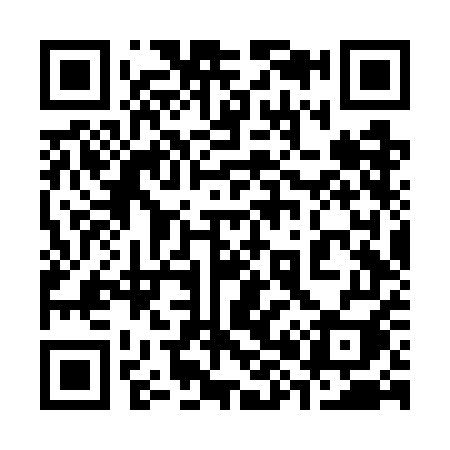 QR code for 386WEI