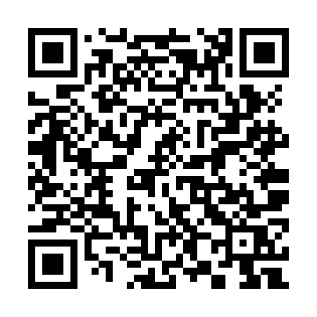 QR code for 386ZOS
