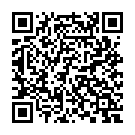 QR code for 387AVL