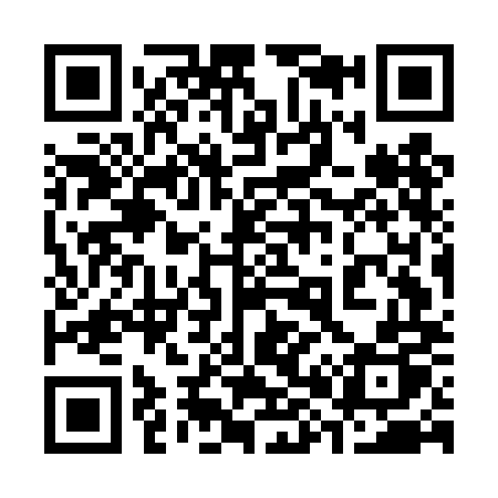 QR code for 387DMP