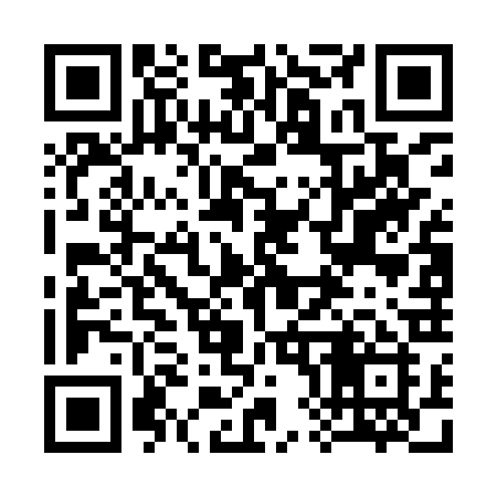 QR code for 387IRI