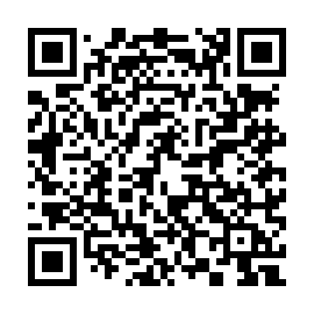 QR code for 387LMA