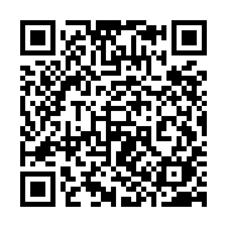 QR code for 387MIM