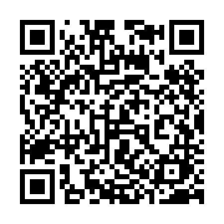 QR code for 387PNM