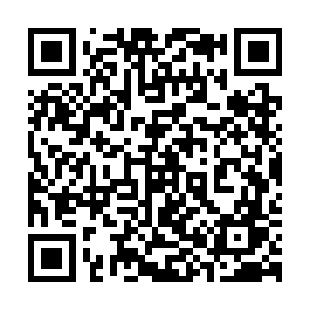 QR code for 387SFW