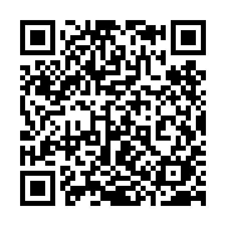 QR code for 387TIM