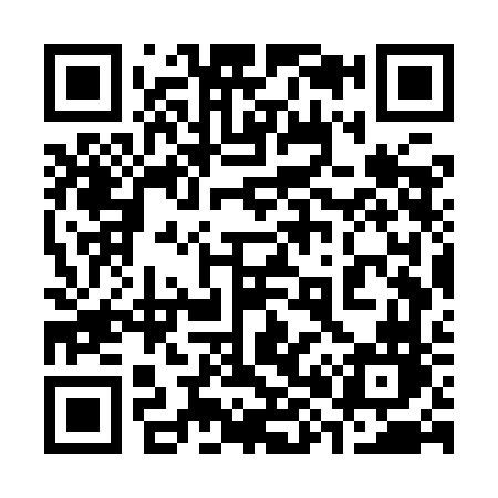 QR code for 387YFN