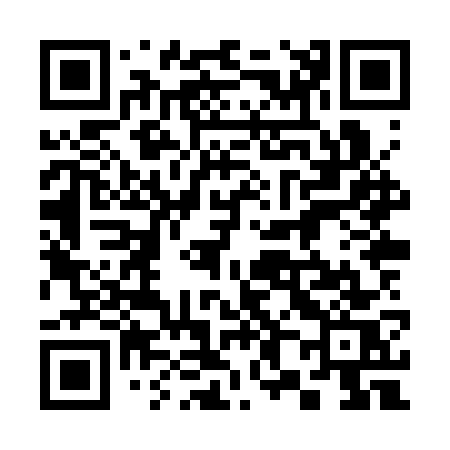 QR code for 388SWS