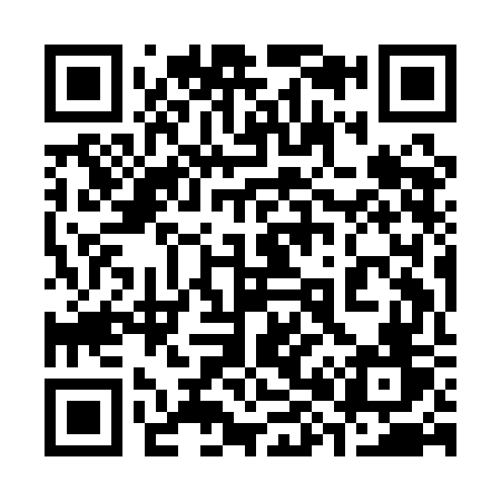 QR code for 389AGV