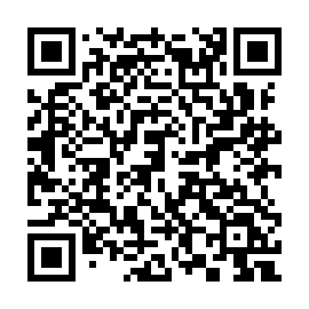 QR code for 389IDL