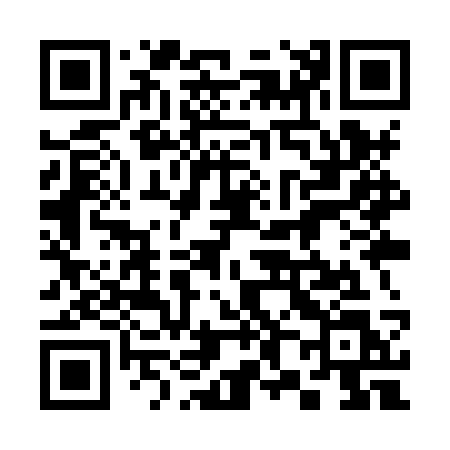 QR code for 389XSL