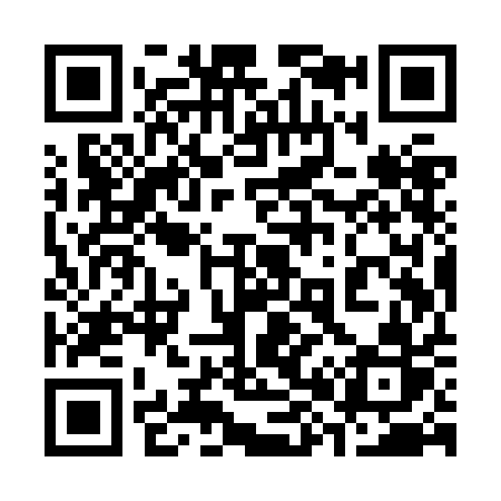 QR code for 389ZAR
