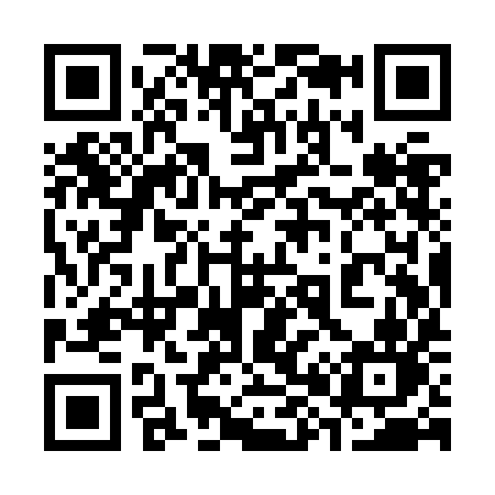 QR code for 389ZIN