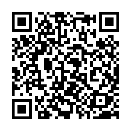 QR code for 390PYY