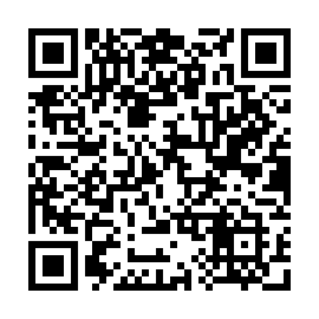 QR code for 390SGK