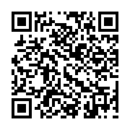 QR code for 390YOS