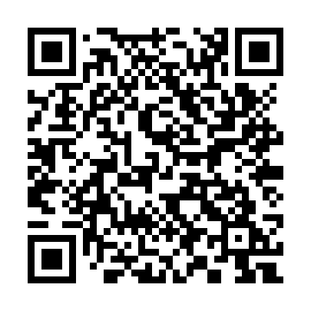 QR code for 390ZSG