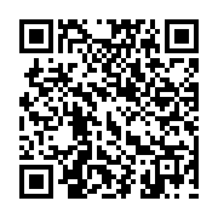 QR code for 391FIS