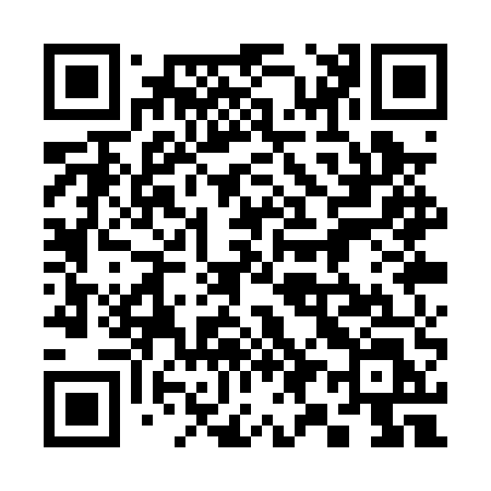 QR code for 391PUL