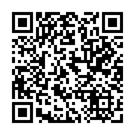 QR code for 393CIK