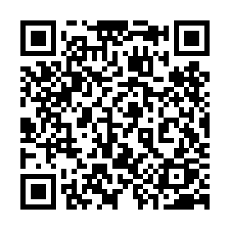 QR code for 393DKP