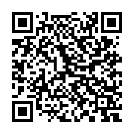 QR code for 393FLS
