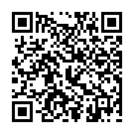 QR code for 393GUP