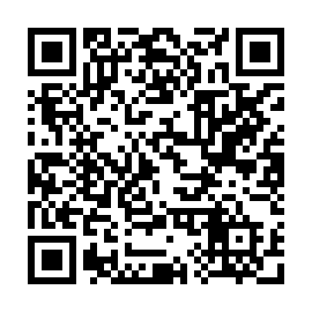 QR code for 393HED