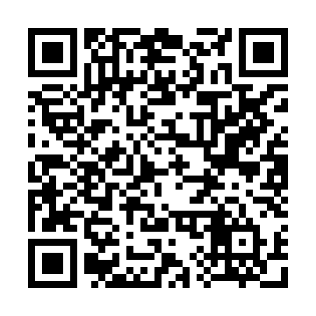 QR code for 393HLT