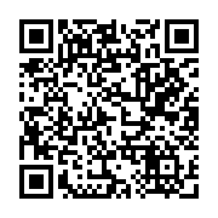 QR code for 393ICW