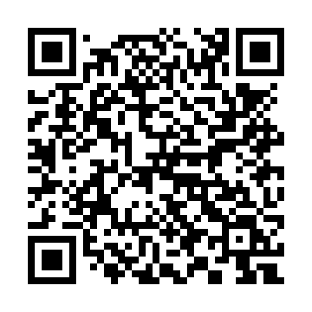 QR code for 393NZL