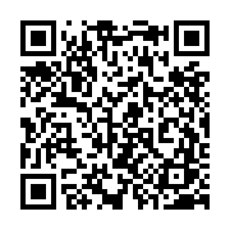 QR code for 393OFS