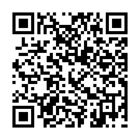 QR code for 393OUO