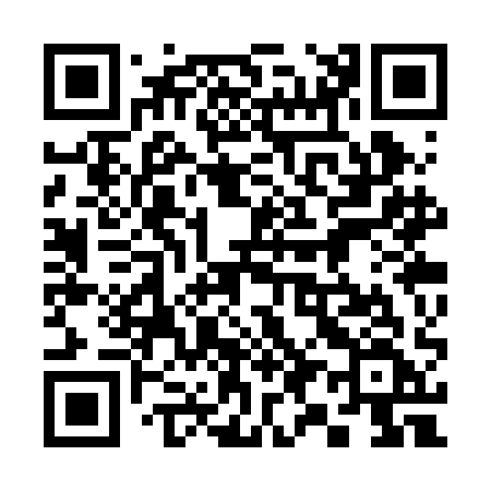 QR code for 393RAF