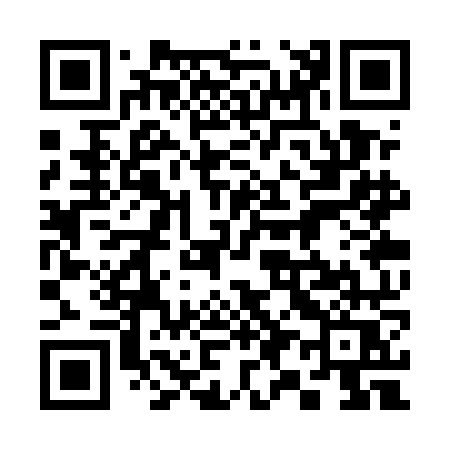 QR code for 393UNQ