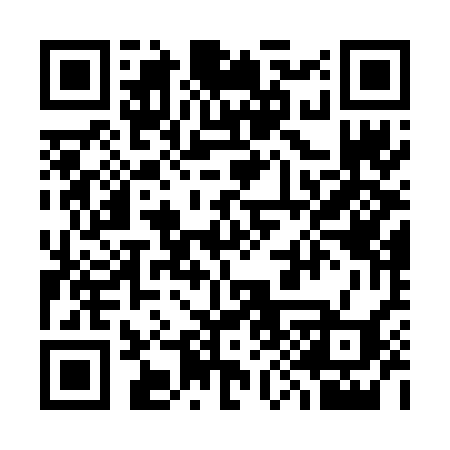 QR code for 393VCH
