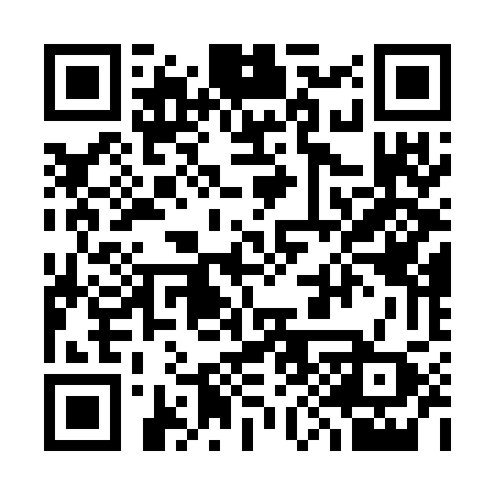QR code for 393WEX
