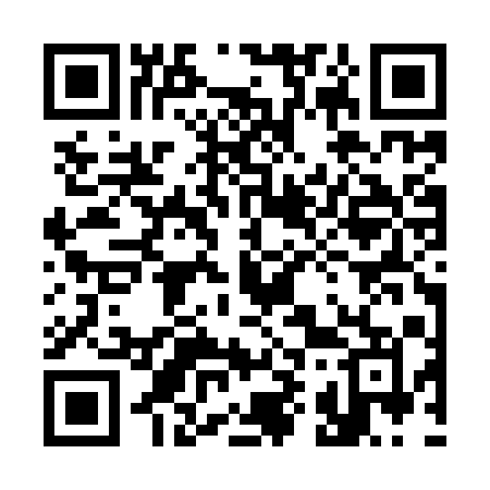 QR code for 393YQM