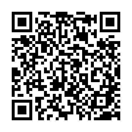 QR code for 393ZLA