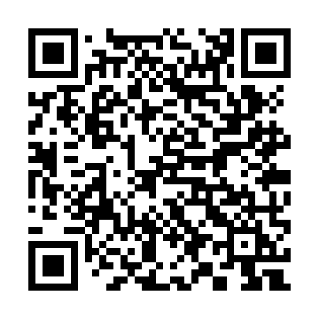 QR code for 393ZMI
