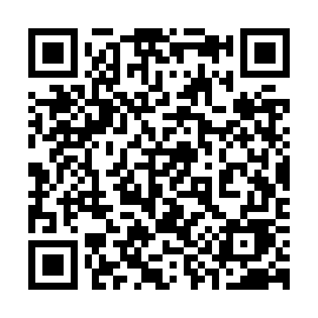 QR code for 393ZWE