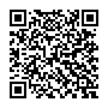 QR code for 394DFF